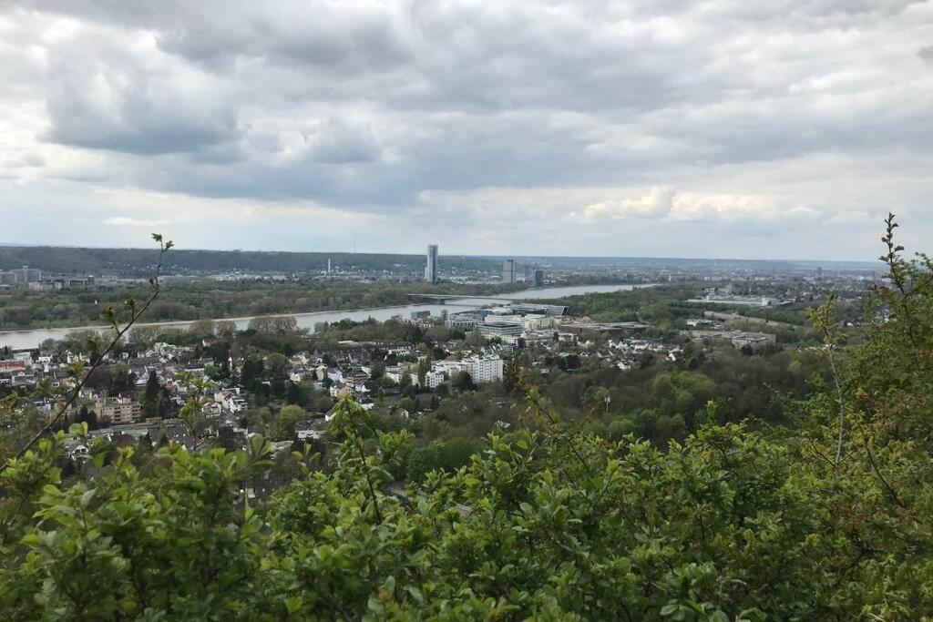 Modern Renovated Apartment Suited For Business Consultants - In Close Distance To Dt, Dhl And Un Campus - Reserved Parking Bonn Exteriör bild