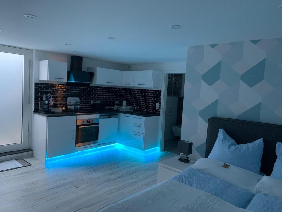 Modern Renovated Apartment Suited For Business Consultants - In Close Distance To Dt, Dhl And Un Campus - Reserved Parking Bonn Exteriör bild